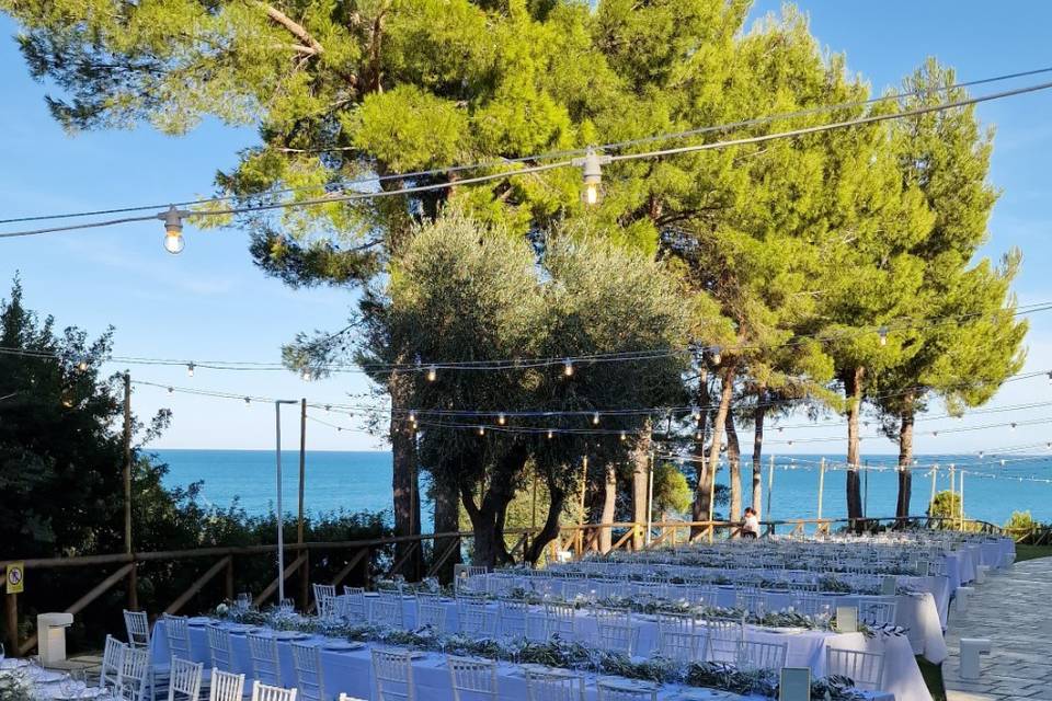 Campo dei fiori Manfredonia