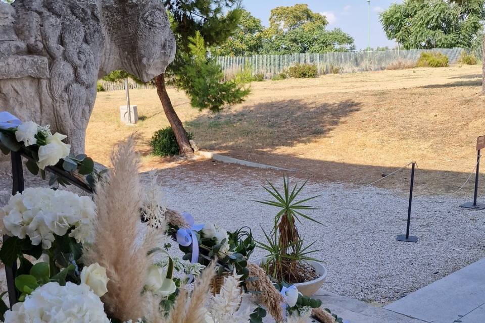 Campo dei fiori Manfredonia