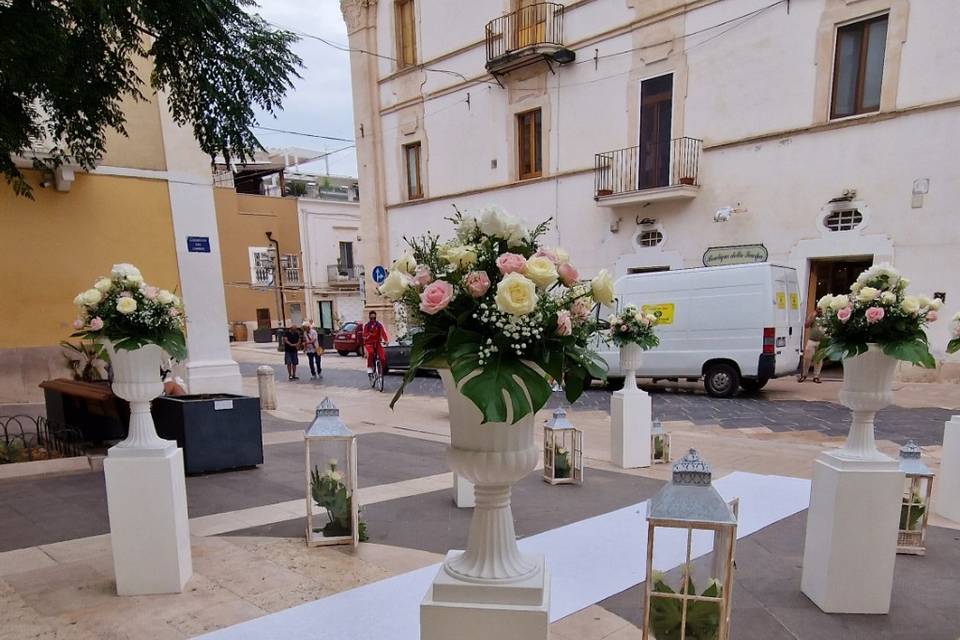 Campo dei fiori Manfredonia