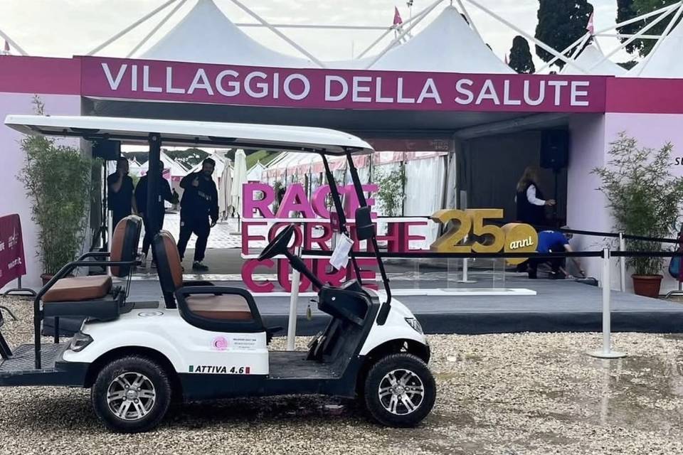 3C Golf Car Rental