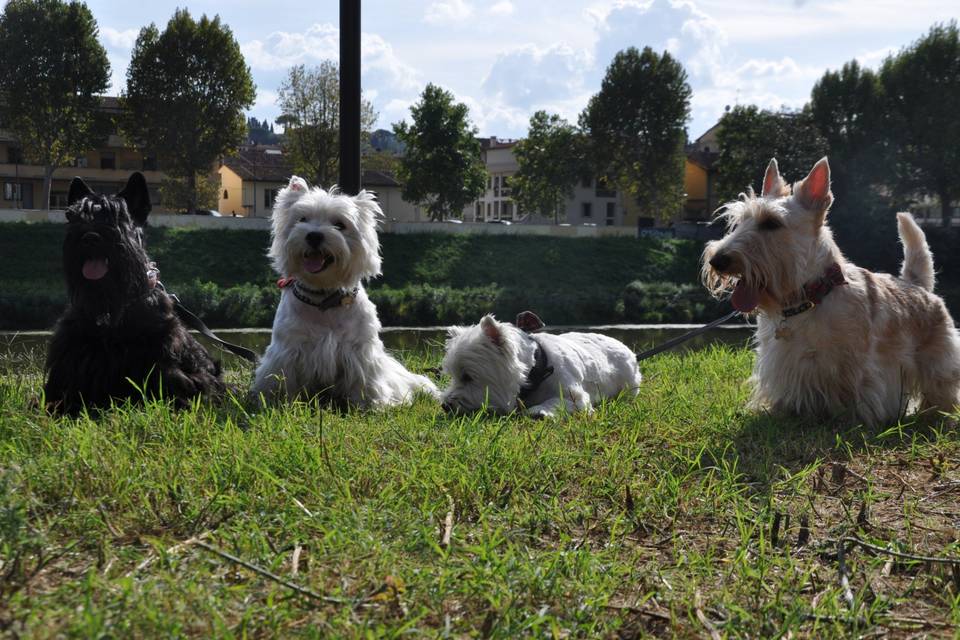 In posa sull'Arno