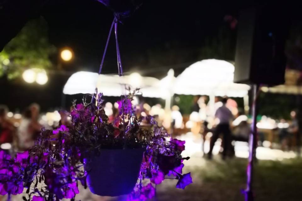 Cena in Giardino