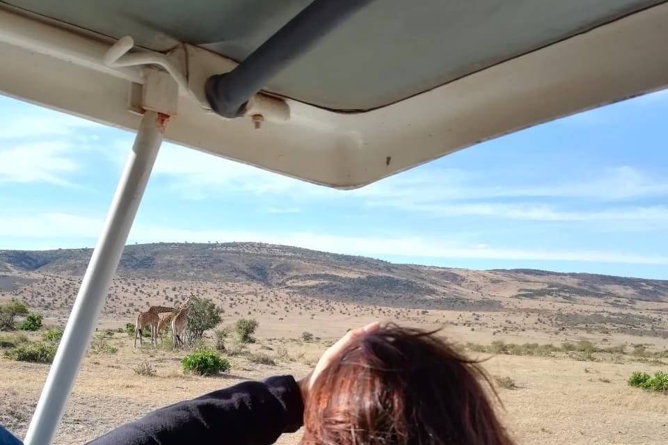 Kenya....safari