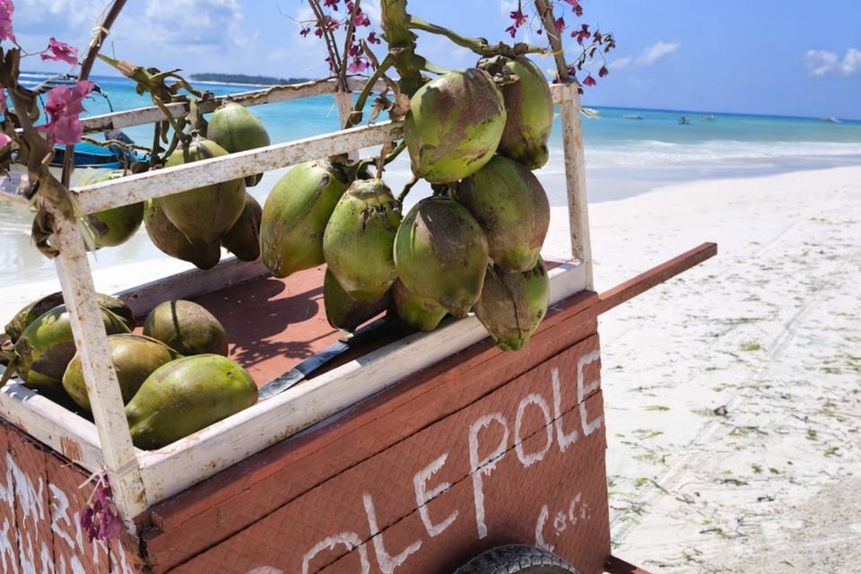Ole Pole, Zanzibar