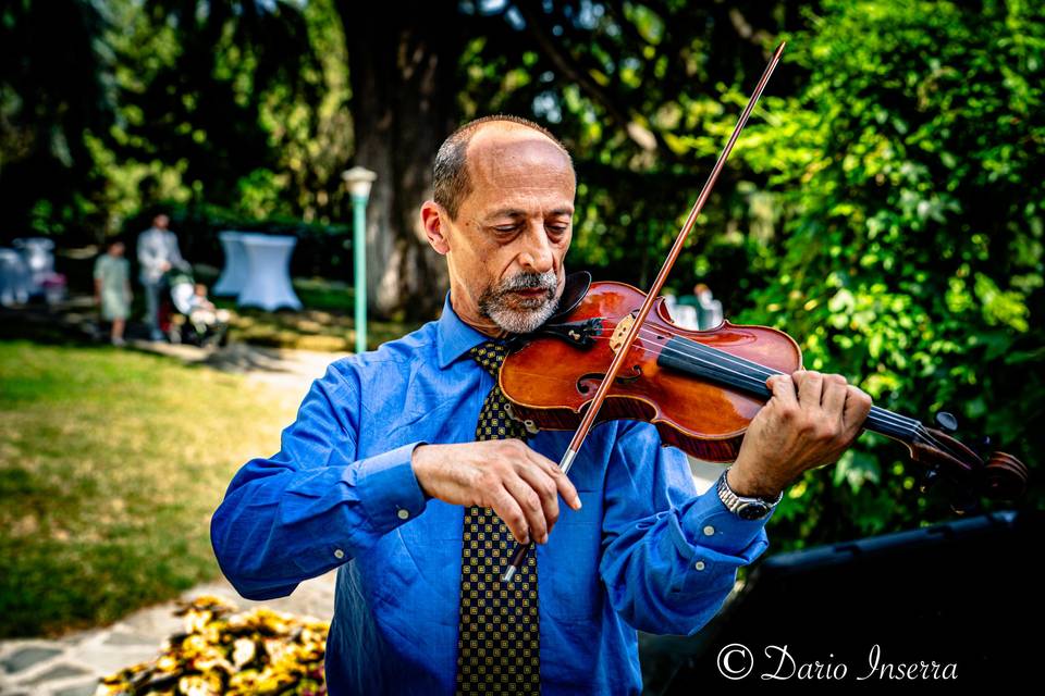 La musica del cuore