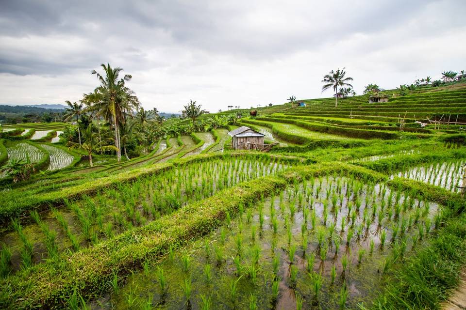 Indonesia