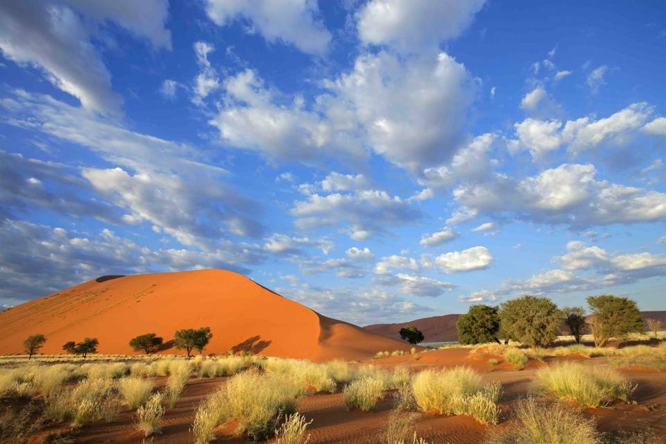 Deadvlei, Namibia