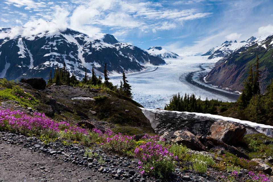 Glacier Bay, Alaska