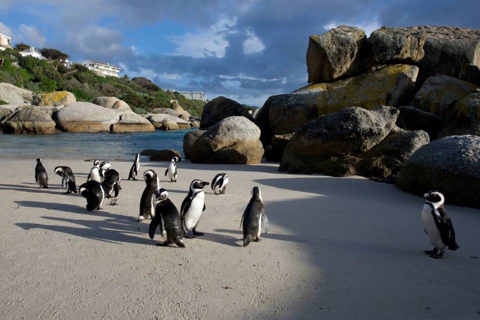 Hout Bay, Sudafrica