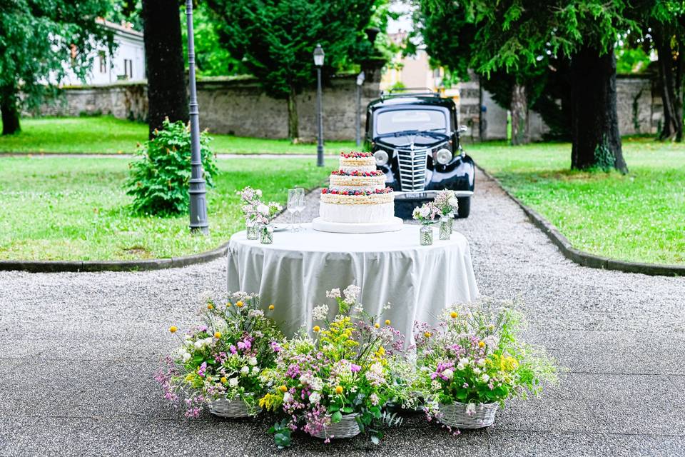 Taglio torta nel giardino