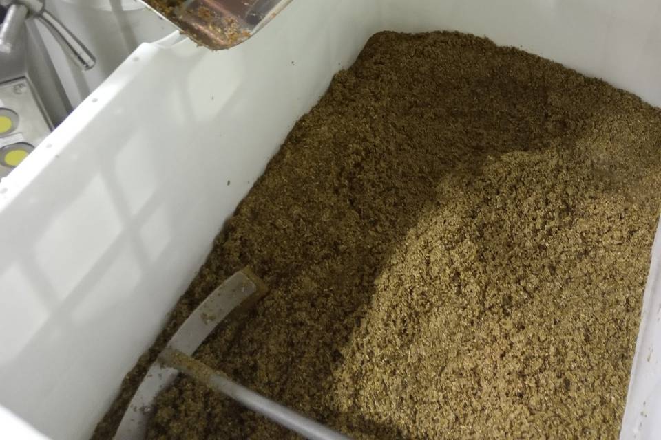 Produzione birra