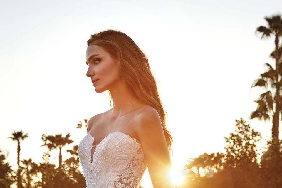 Pronovias 2024