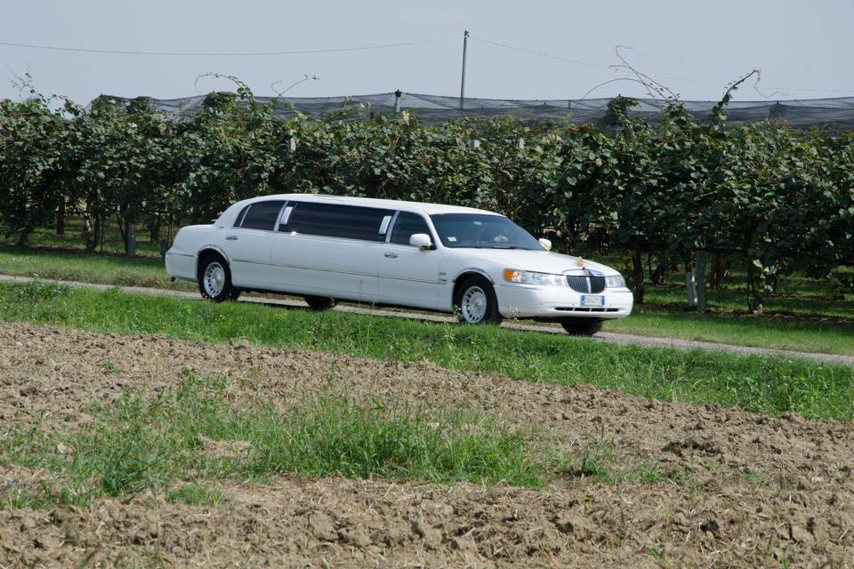 Limousine Lincoln Town Car