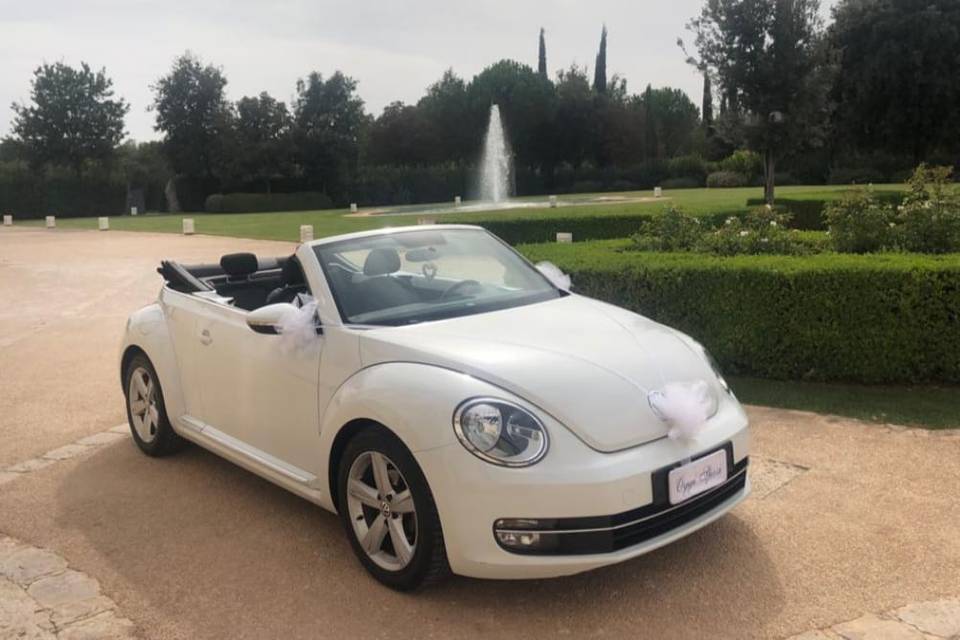 Auto matrimonio