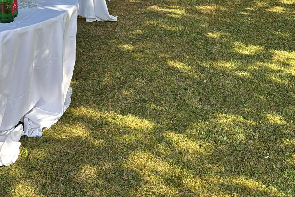 Preparazio buffett in giardino