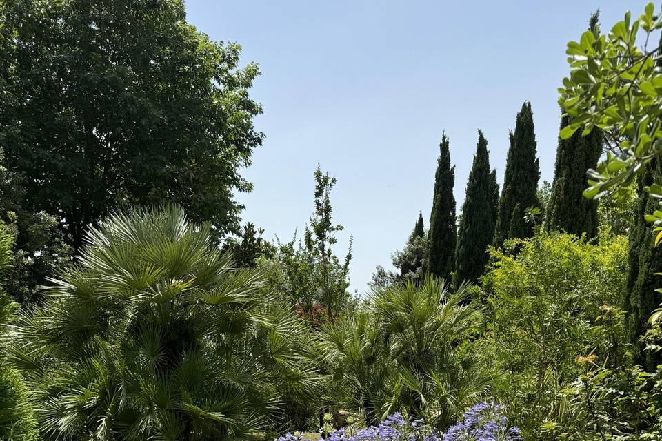 Veduta giardino