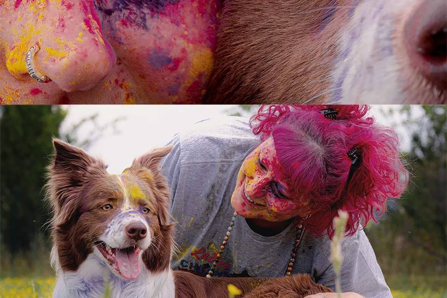Holi Dog