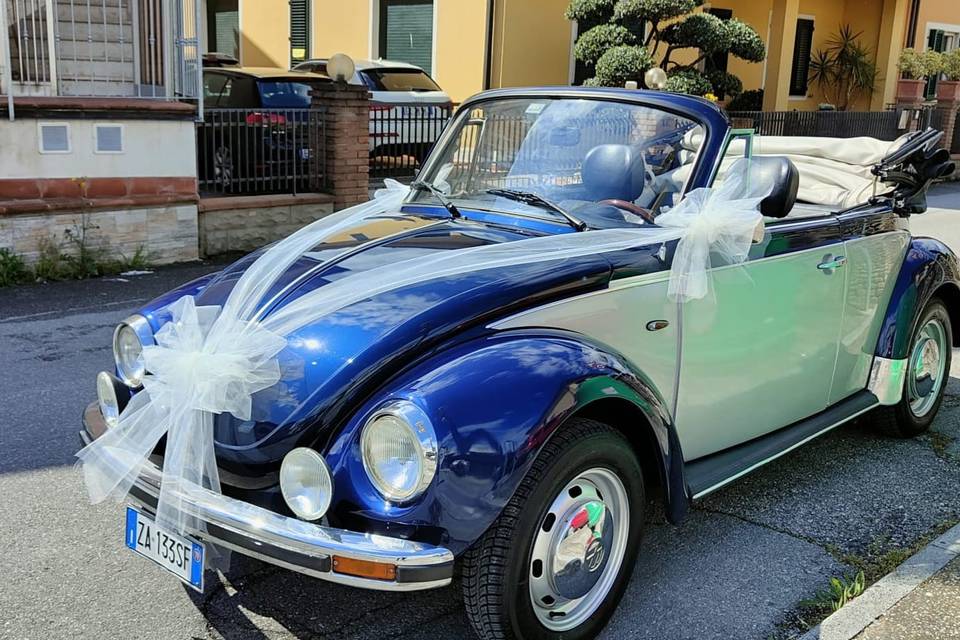 Volkswagen Maggiolino Cabrio