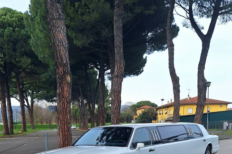 Lincoln Limousine