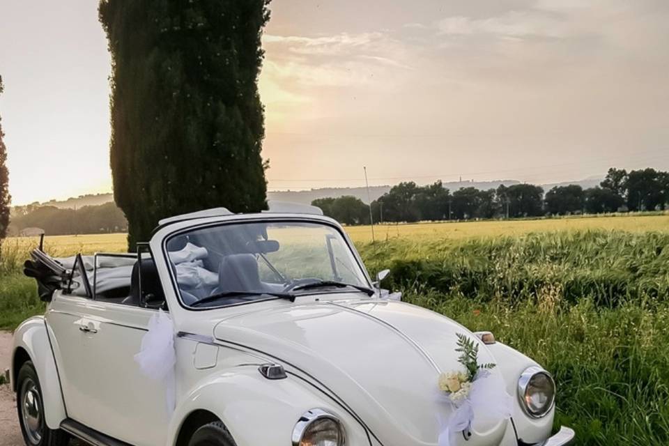 Volkswagen Maggiolino Cabrio