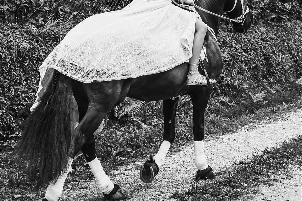 Valentina  arriva a cavallo