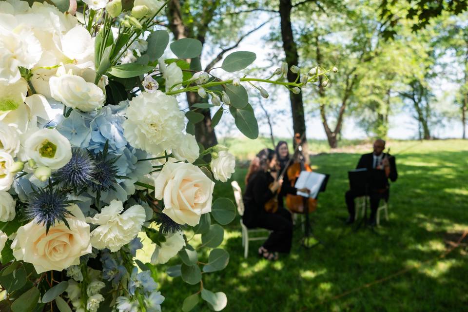 Oggi trio di violini