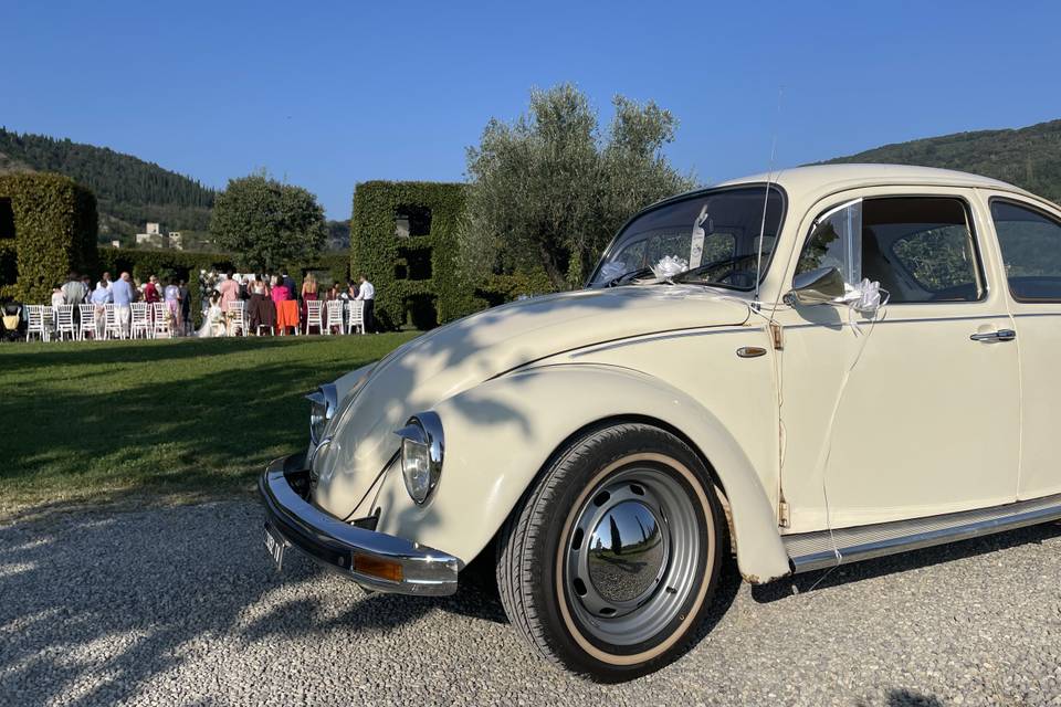 Un sogno color panna