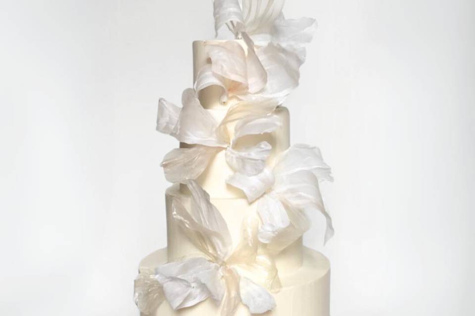 Modern white