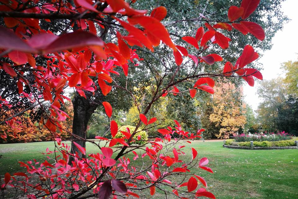 Parco scenografico autunnale