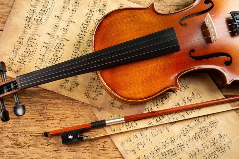 Violino