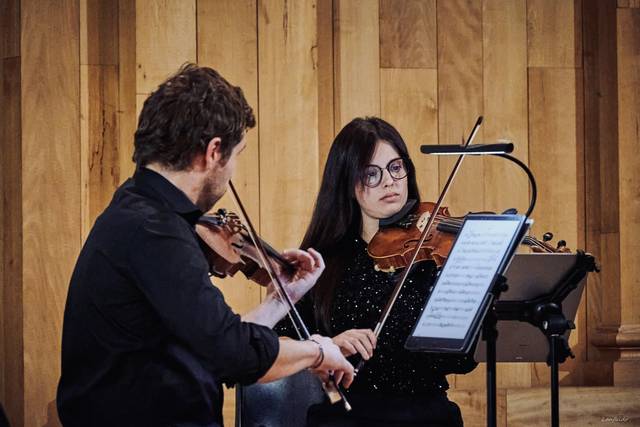 Due violini