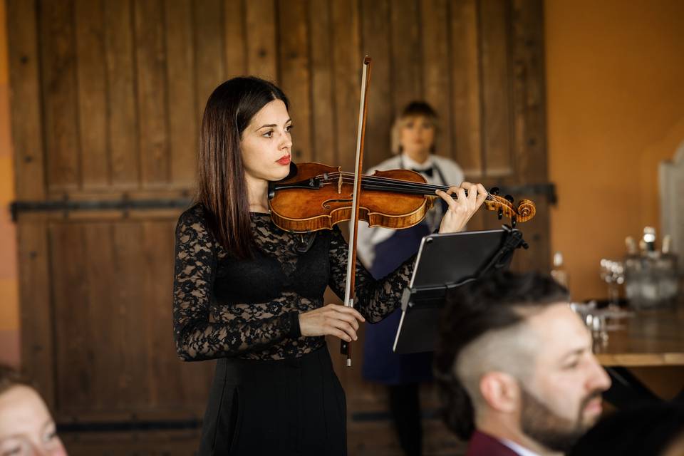 Violino solo