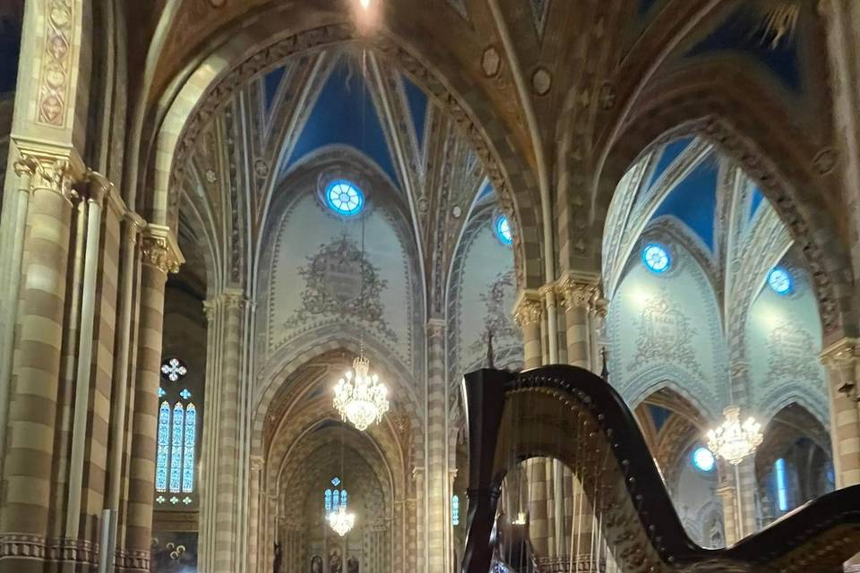Violino e arpa
