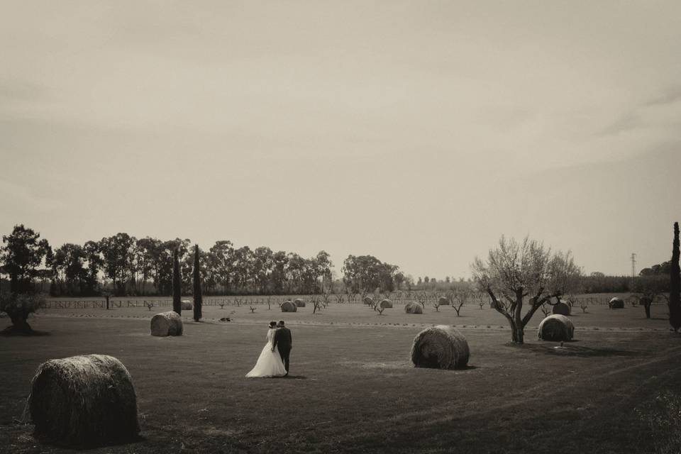 Campo di grano