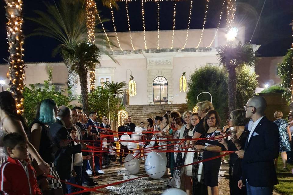 Animazione adulti