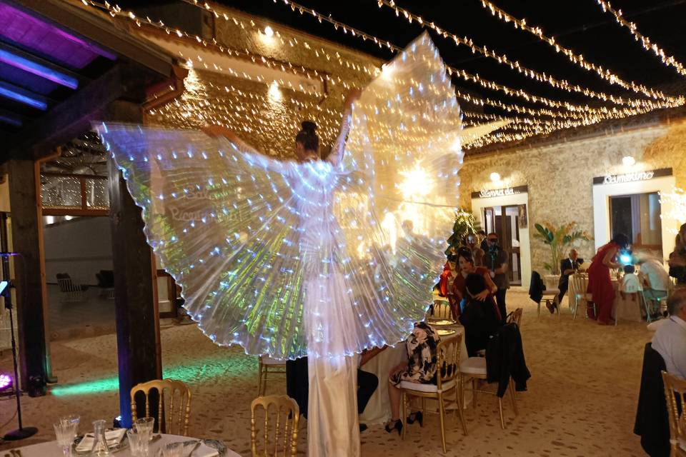 Farfalle luminose