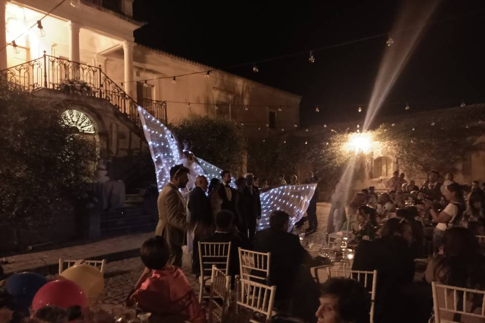 Farfalle luminose