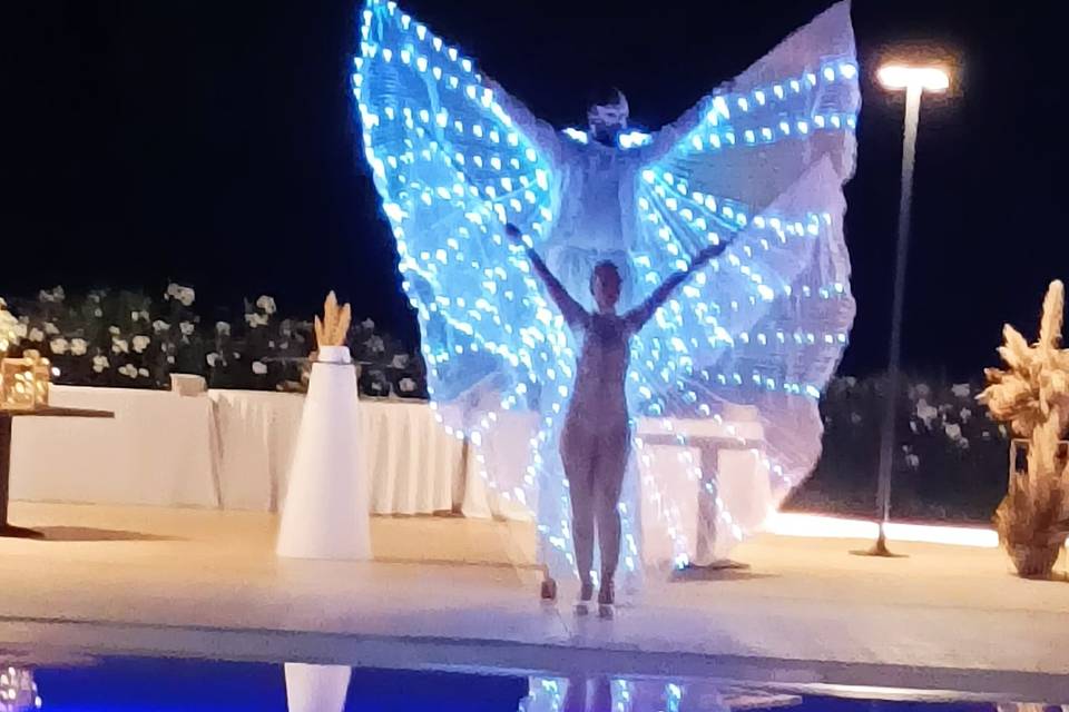Farfalle luminose
