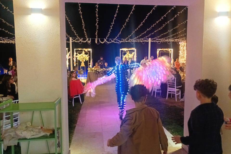 Led show