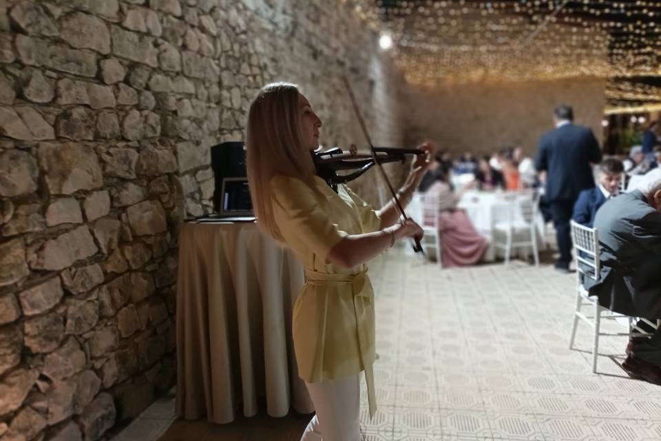 Violinista