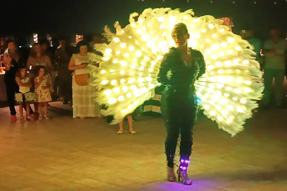 Led show