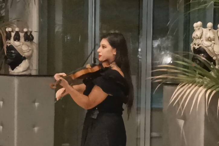 Violinista