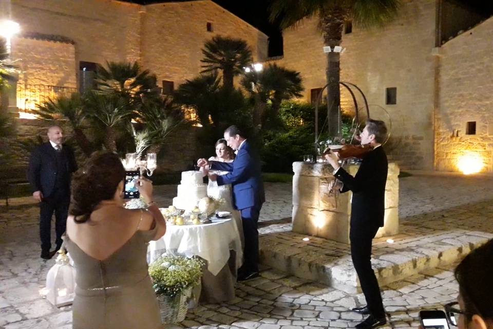 Violinista