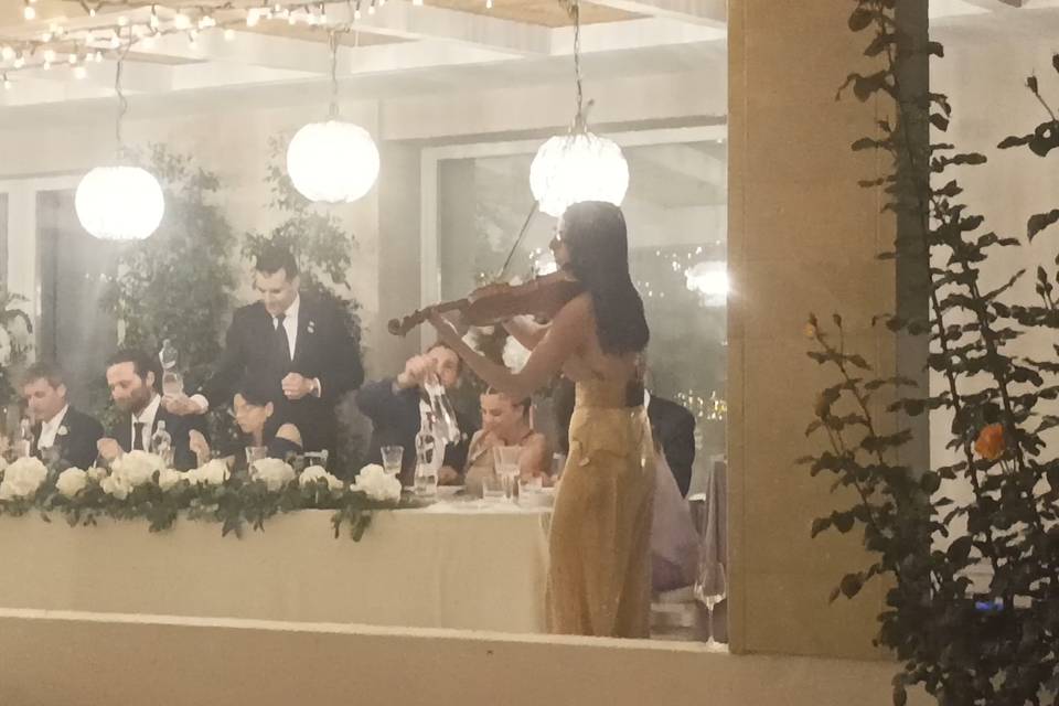 Violinista