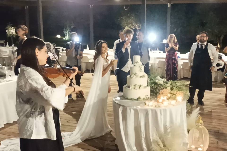 Violinista