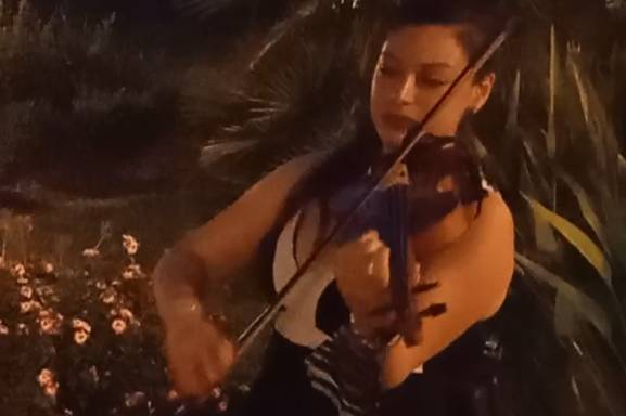 Violinista