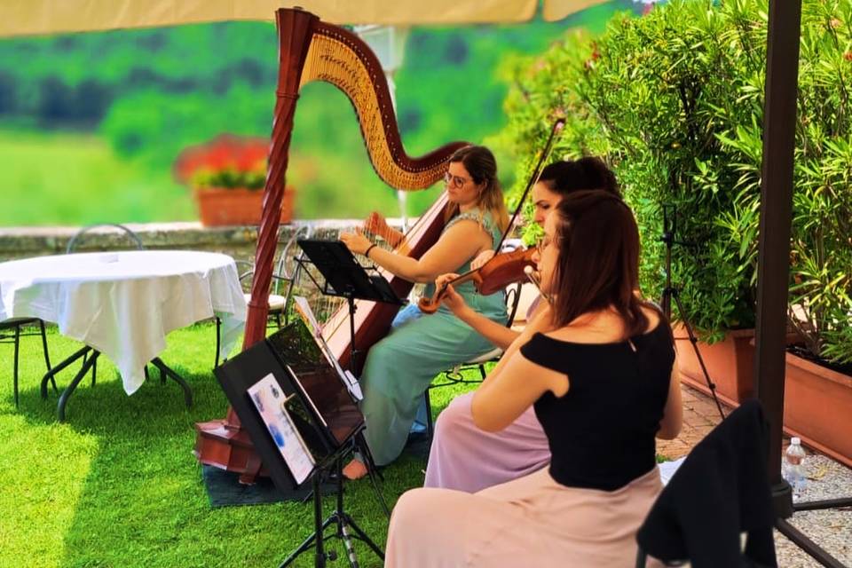 Musica in villa