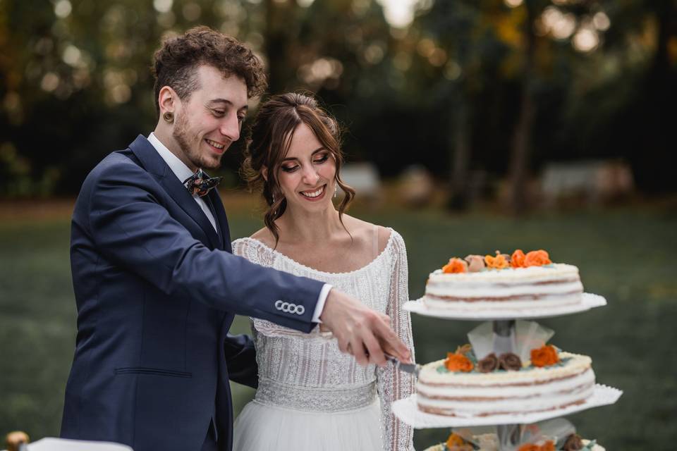 Taglio della torta- Venezia
