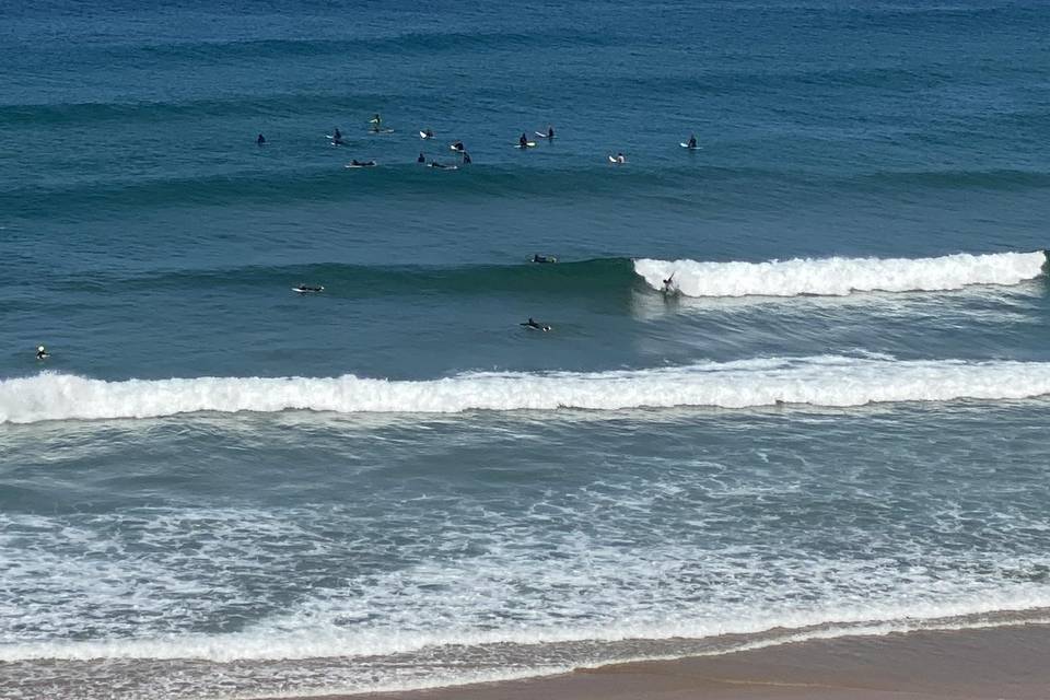 Surf in Algarve