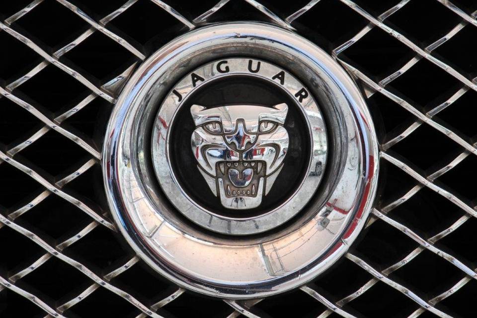 Logo jaguar